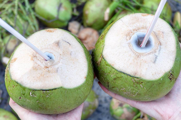 Dừa Xiêm quả - Thức quả giải khát mùa hè mê hoặc lòng người